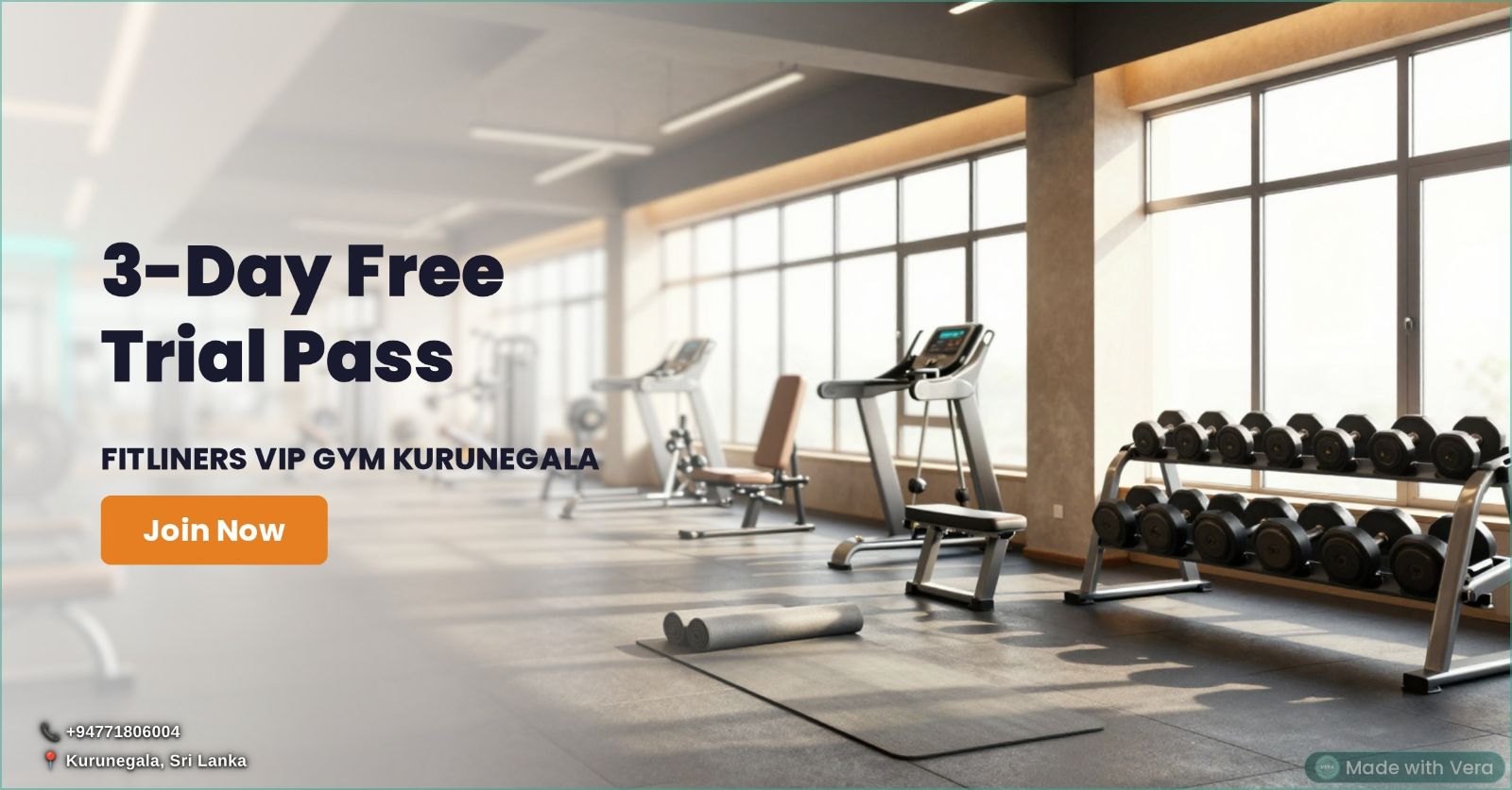 FITLINERS IRON EDGE VIP GYM