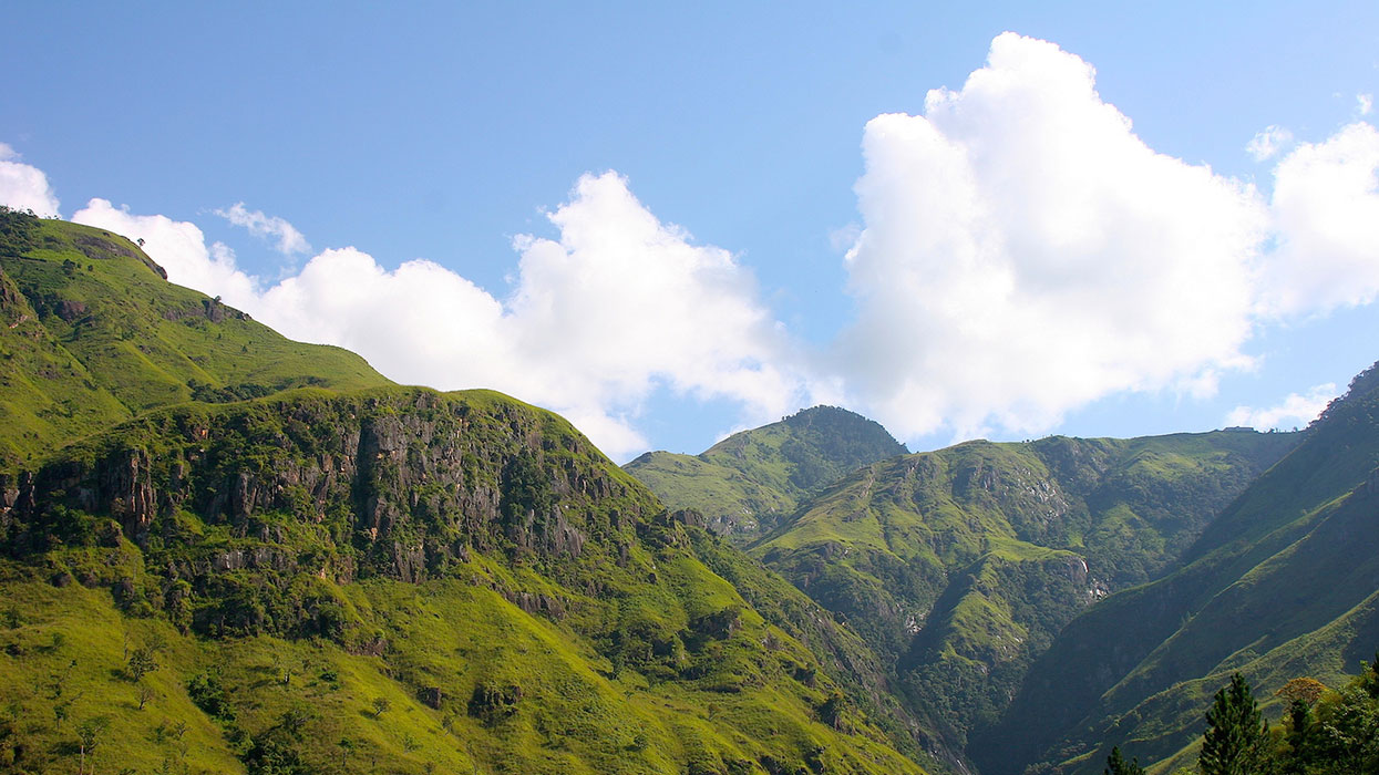 Belihul Oya Safari Tour